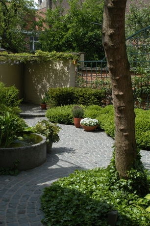 Kleine tuin
