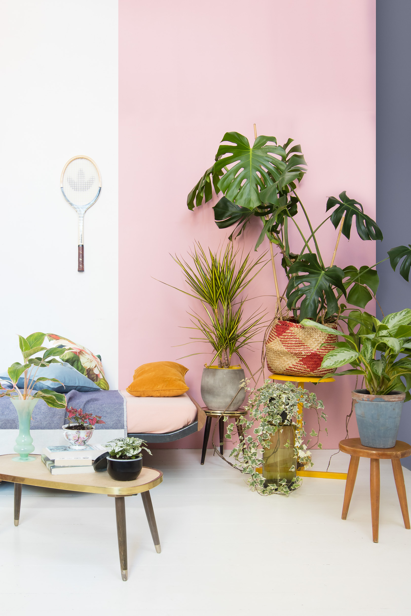 Peuter Norm vasthouden Exotisch en eclectisch. Met planten breng je de zon én meer kleur in huis.  | Floor